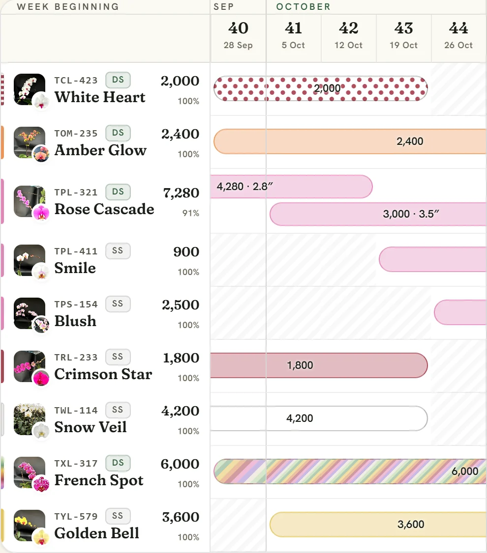 Every week at a glance
