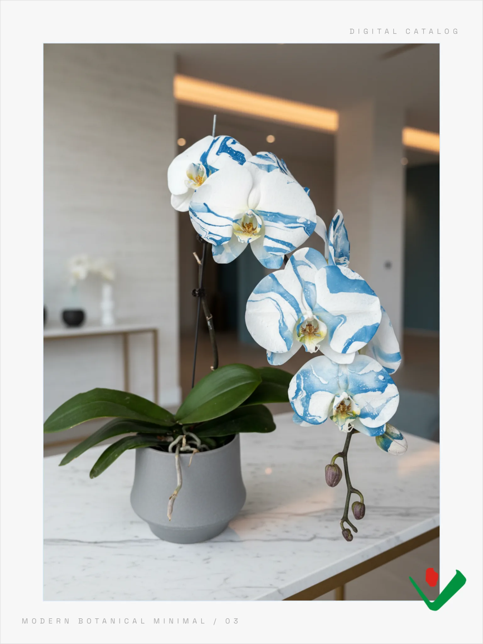 Porcelain Indigo